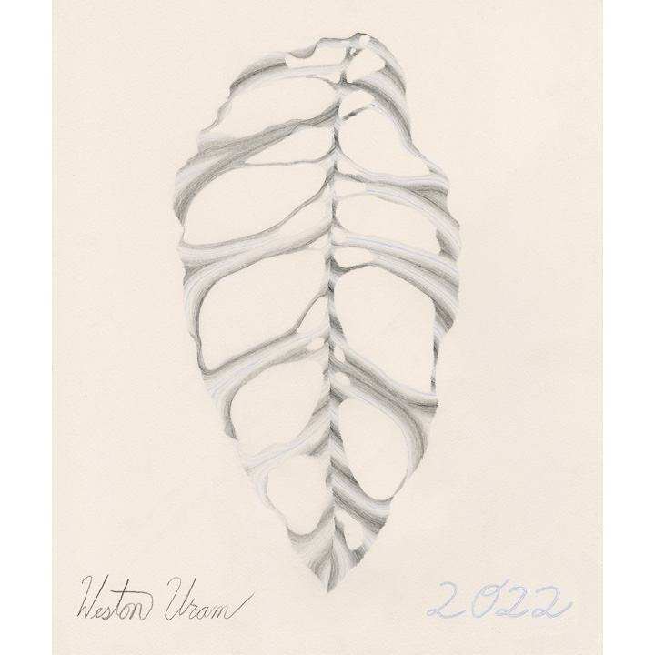 Large Monstera (Gray on Gray on Baby Blue)